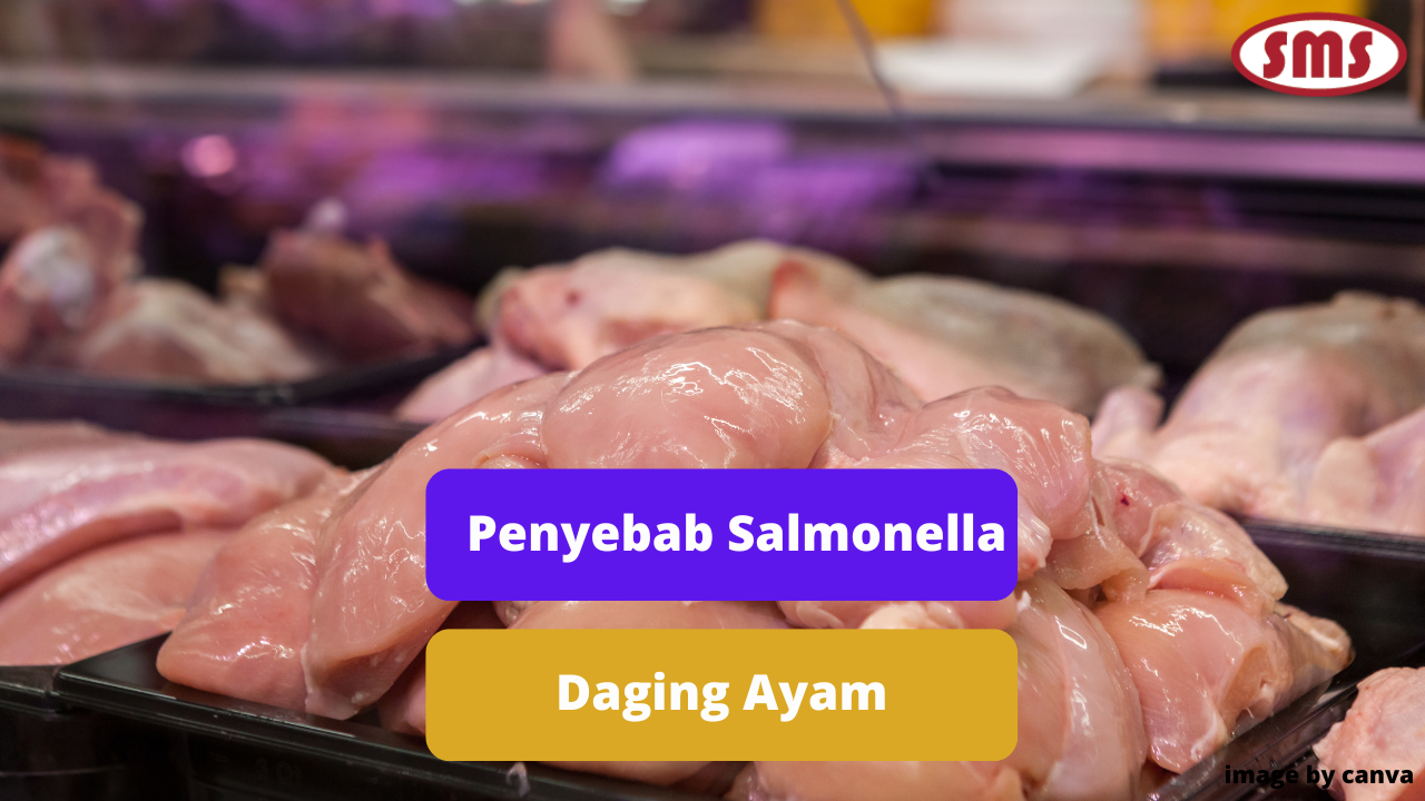 Inilah Beberapa Penyebab Infeksi Salmonella Daging Ayam